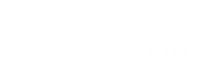 Borinsura